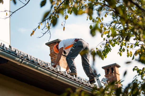 Best Roof Waterproofing Services  in Blanchester, OH